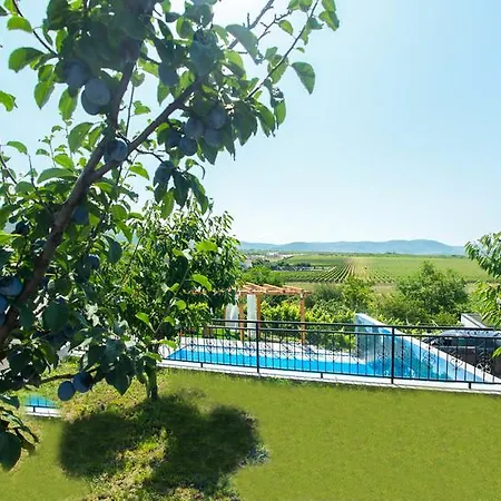 Luxury Imperial - With The Vineyard Views